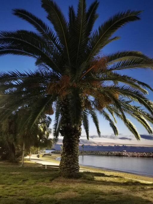 Bel Appartement 6 Personnes - Proche Toutes Commodites Toulon Exterior photo